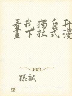 看我独自升级漫画下拉式漫画