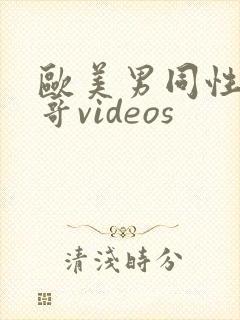 欧美男同性恋帅哥videos封面