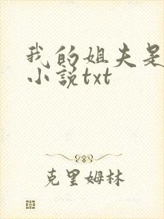 我的姐夫是太子小说txt