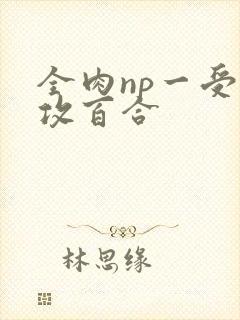 全肉np一受多攻百合