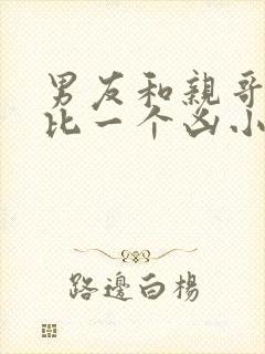 男友和亲哥一个比一个凶小说阅读