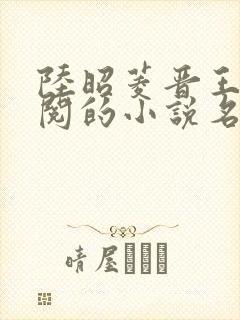 陆昭菱晋王周时阅的小说名