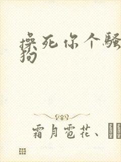 操死你个骚货母狗封面