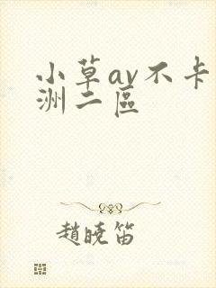 小草av不卡亚洲二区