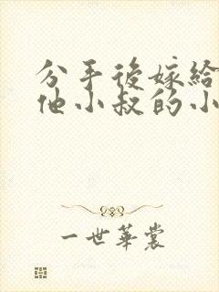 分手后嫁给前任他小叔的小说暮色酒歌