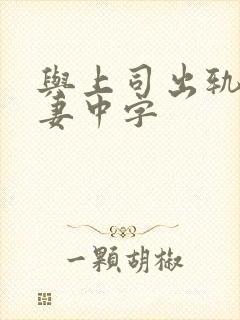 与上司出轨的人妻中字