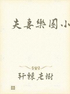 夫妻乐园小说封面