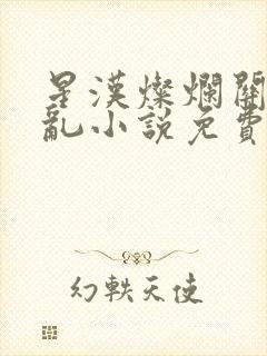 星汉灿烂关心则乱小说免费阅读全文无窗口封面