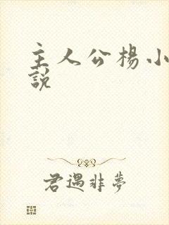 主人公杨小天小说