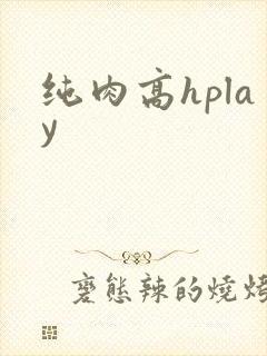 纯肉高hplay