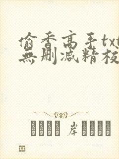 偷香高手txt无删减精校版