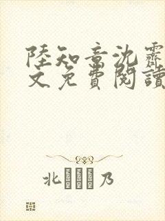 陆知意沈霁川全文免费阅读