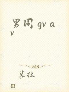 男同 gv av