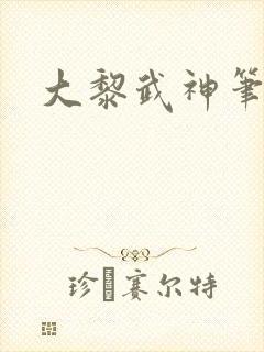 大黎武神笔趣阁封面