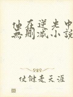 他在逆光中告白无删减小说