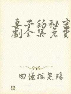 妻子的秘密电视剧全集免费观看高清