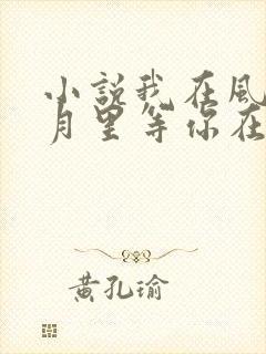 小说我在风花雪月里等你在线阅读