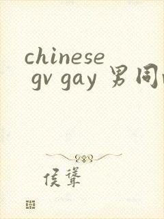 chinese gv gay 男同video在线观看