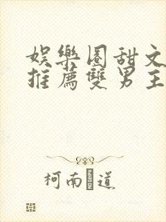 娱乐圈甜文小说推荐双男主封面