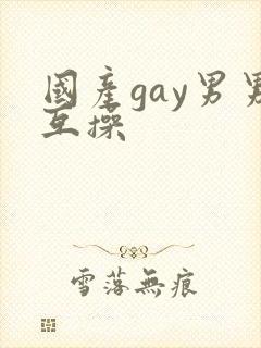 国产gay男男互操
