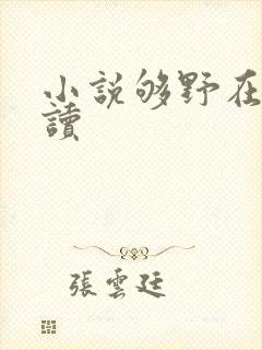 小说够野在线阅读