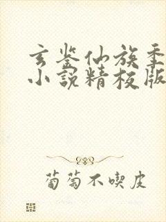 玄鉴仙族季越人小说精校版全集txt封面