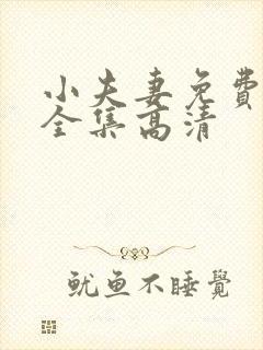 小夫妻免费观看全集高清