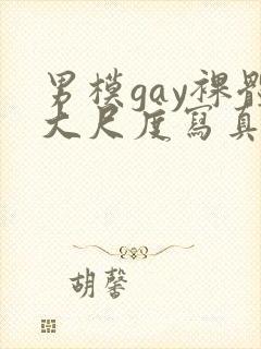 男模gay裸体大尺度写真