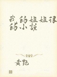 我的姐姐很弟控的小说