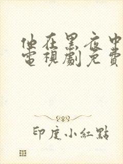 他在黑夜中相拥电视剧免费观看