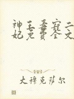 神王毒宠二嫁王妃免费全文阅读