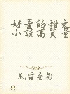 好看的甜文言情小说高质量文笔好