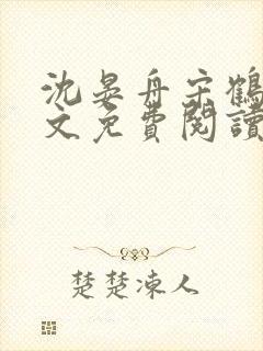 沈晏舟宋鹤眠全文免费阅读