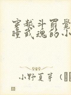 穿越斗罗觉醒重瞳武魂的小说