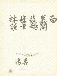 林峰苏慕白的小说笔趣阁封面