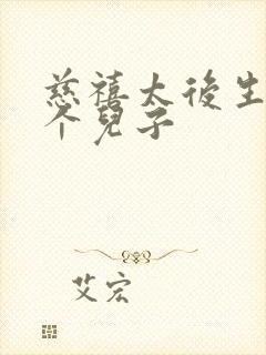 慈禧太后生了几个儿子