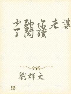 少帅你老婆又跑了阅读