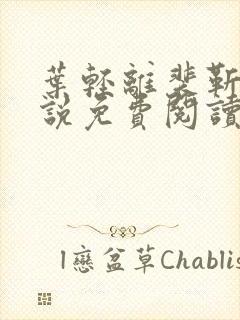 叶轻离裴靳墨小说免费阅读无弹窗