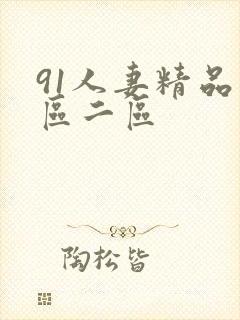 91人妻精品一区二区