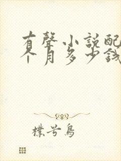 有声小说配音一个月多少钱封面