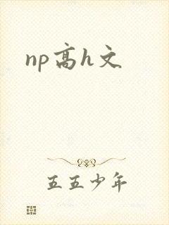 np高h文