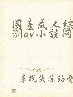 国产成人综合亚洲av小说网站