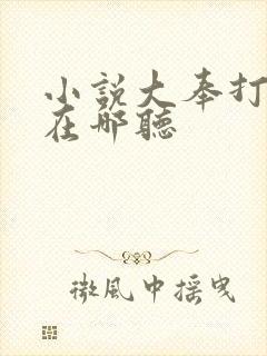 小说大奉打更人在哪听