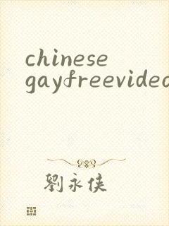 chinesegayfreevideoporn
