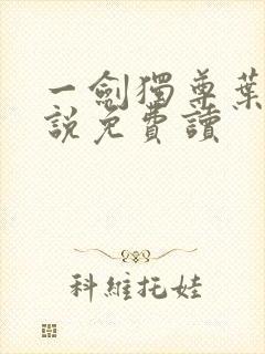 一剑独尊叶玄小说免费读封面