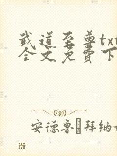 武道至尊txt全文免费下载