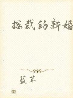 总裁的新婚娇妻封面