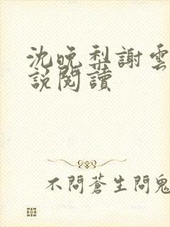 沈晚梨谢云迟小说阅读