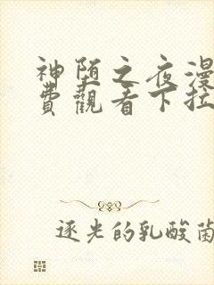 神堕之夜漫画免费观看下拉式漫画最新章节