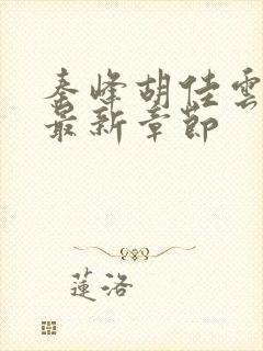 秦峰胡佳云小说最新章节